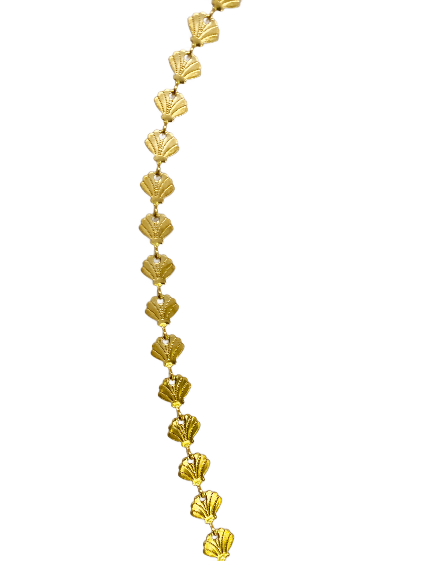 Shell Necklace