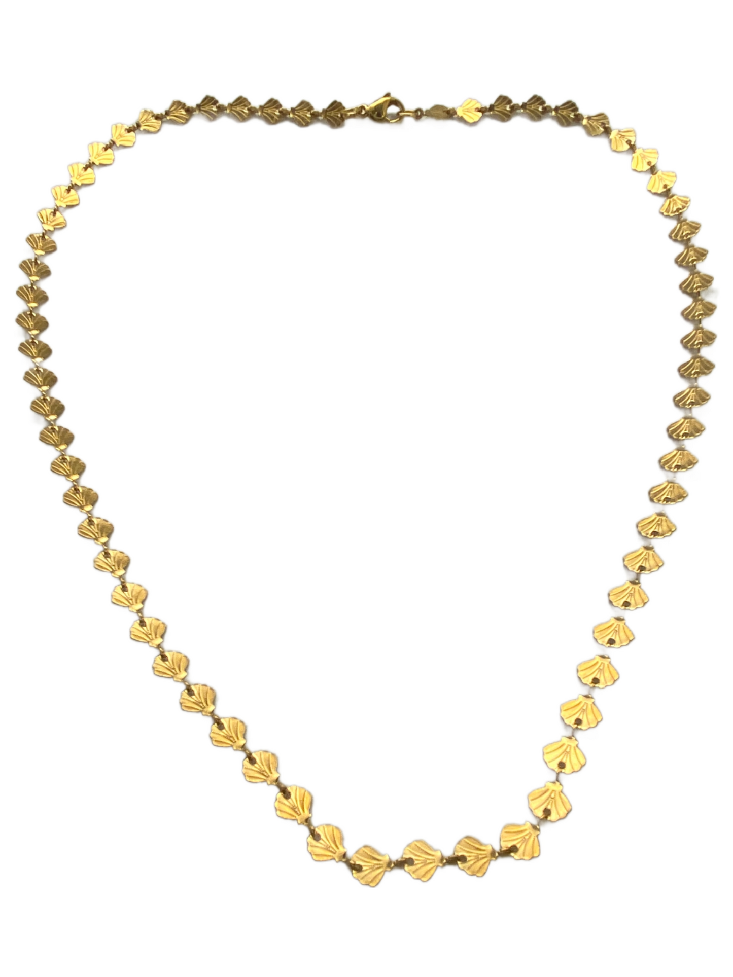 Shell Necklace