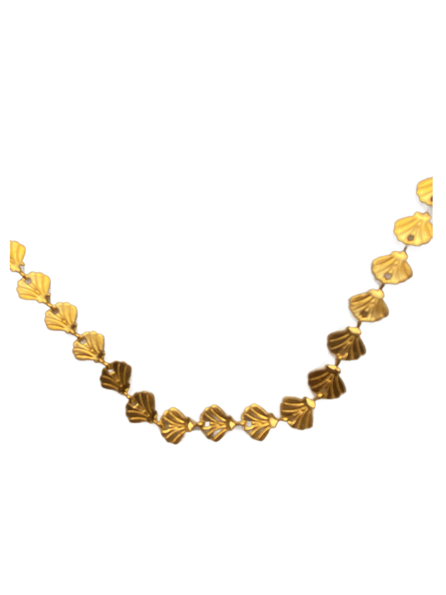 Shell Necklace